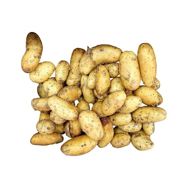 [2300005000004] Patata blanca