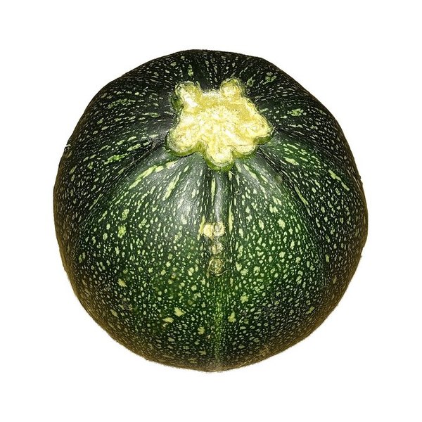 [2300009000000] Calabacín