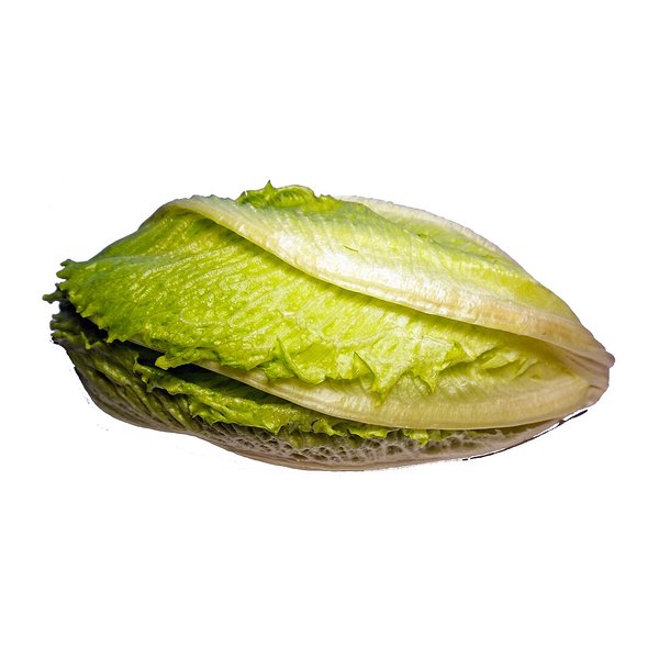 [2900001000000] Lechuga Iceberg