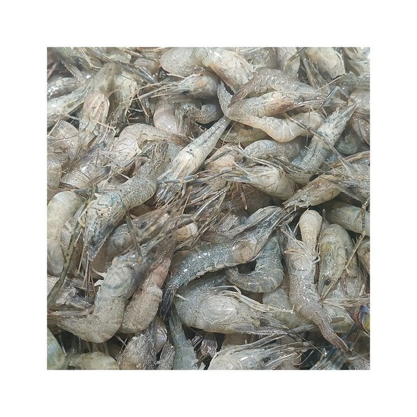[2300019000007] Merluza del Cantábrico