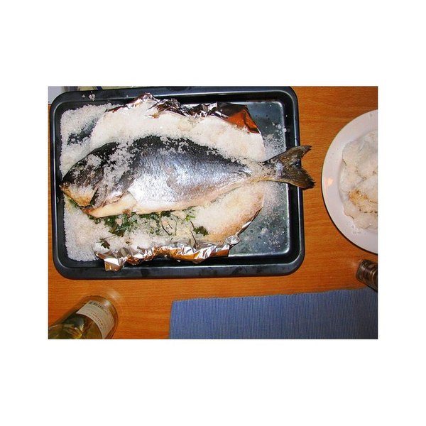 [2300020000003] Gamba blanca