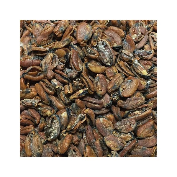 [2300021000002] Dorada de crianza